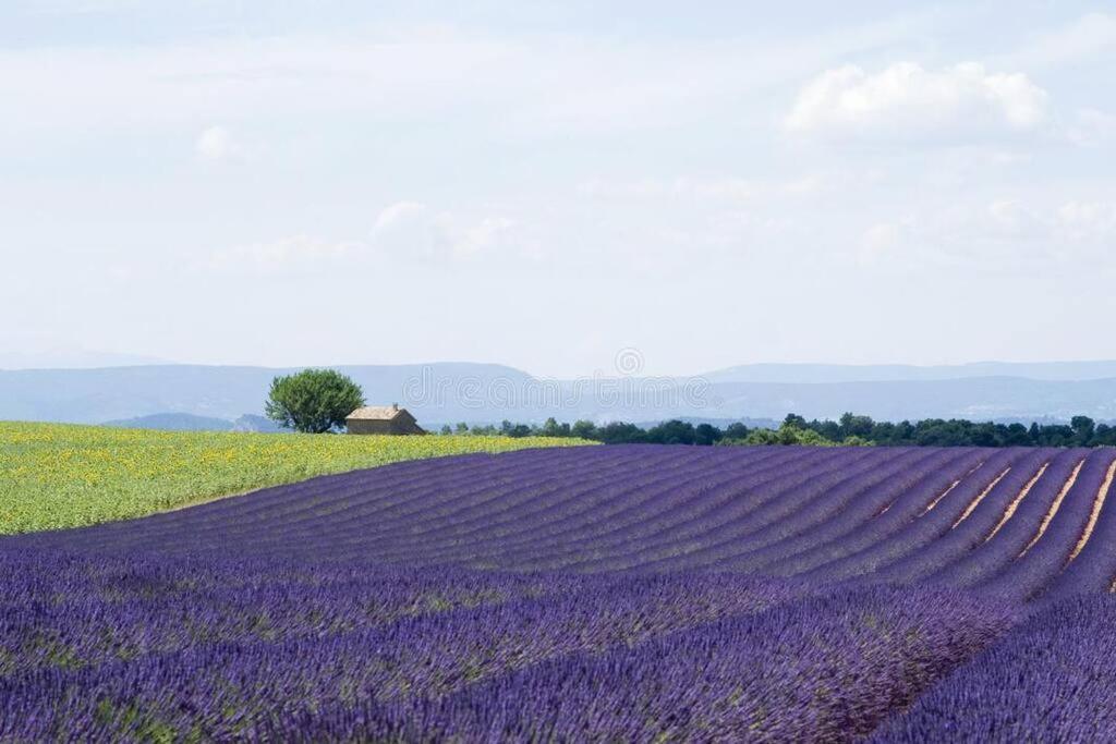 Joli Appartement Dans Village Calme En Provence Les Mées 외부 사진